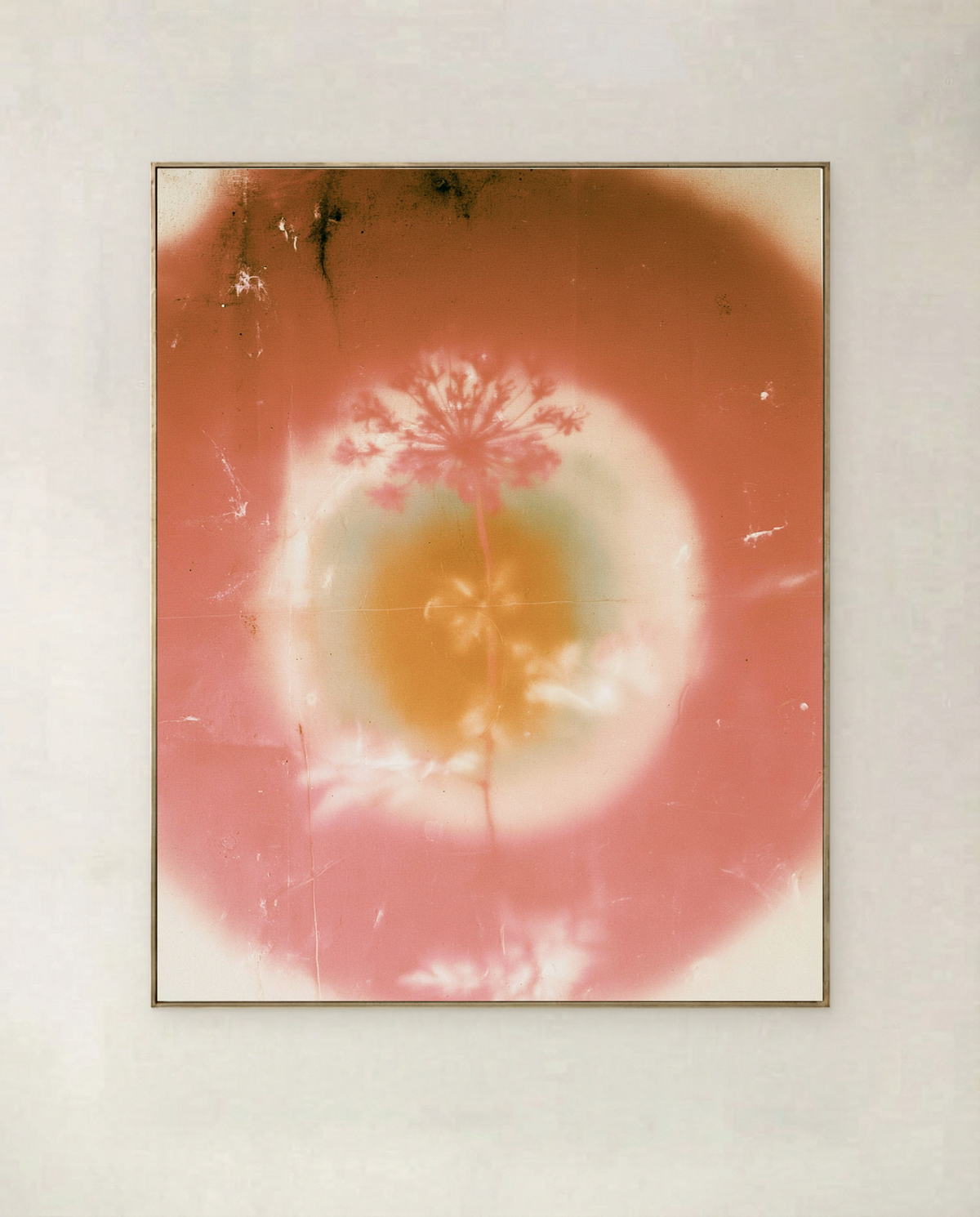 Lumen Bloom — botanical art print of a glowing bloom haloed in warm light